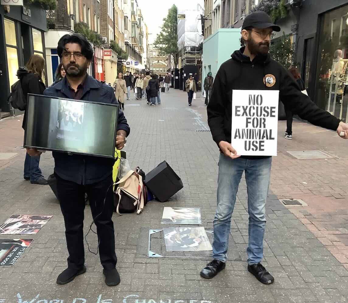 Two volunteers on the street with a screen and a 'No excuse for animal use' sign